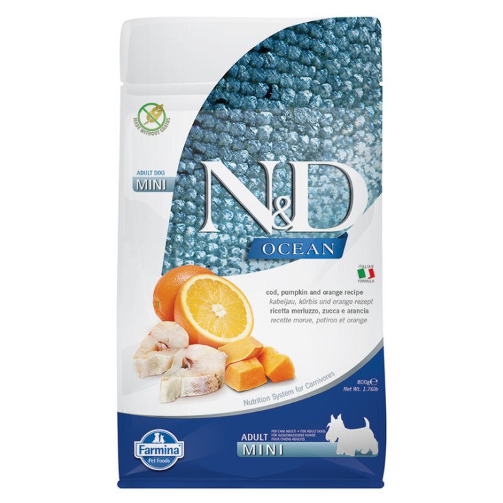 N&D OCEAN DOG LOW MINI MORUE 800 GR