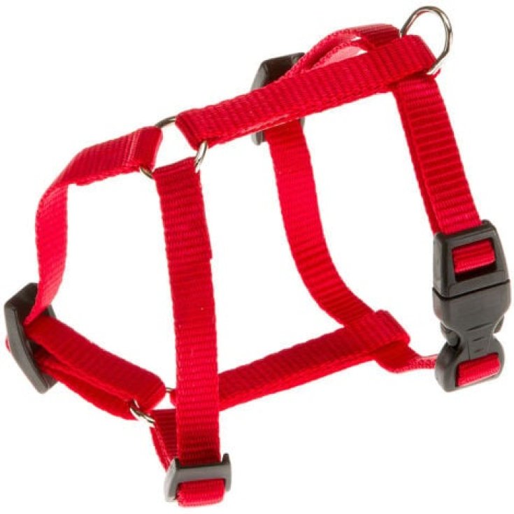 CHAMPION P EXTRA PETIT ANIMAL ROUGE.