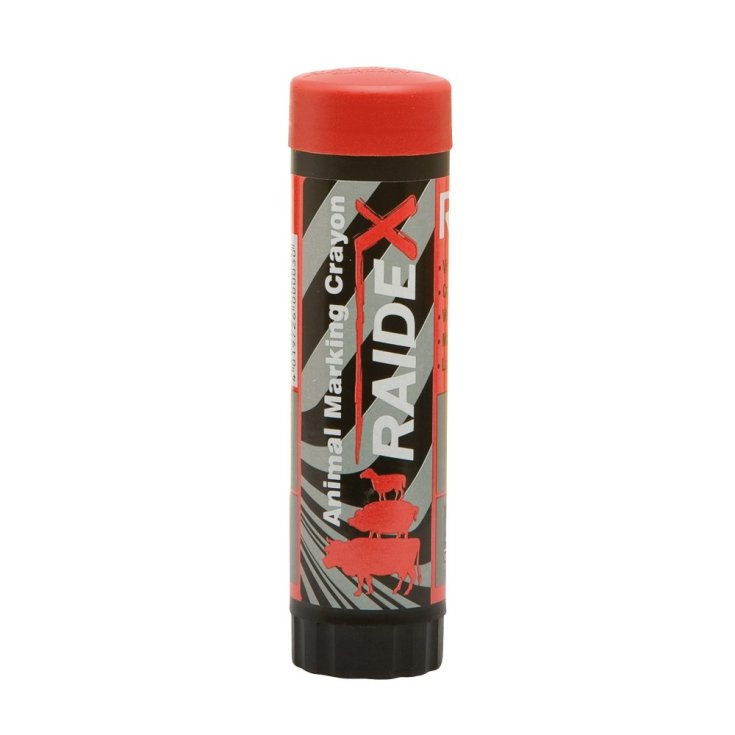 RAIDEX TAMPON SIRE SINE ROUGE