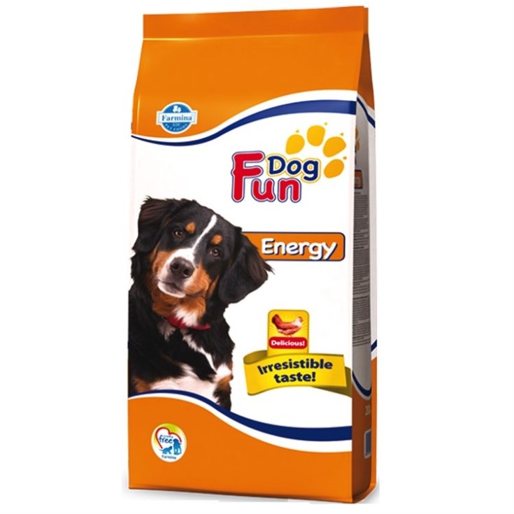 FUN CHIEN ÉNERGIE 20 KG PN