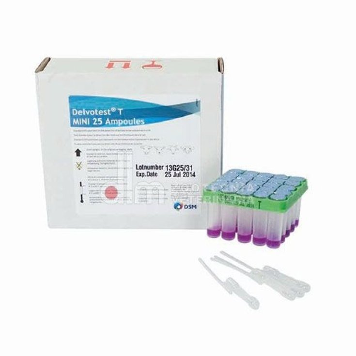 DELVOTEST T MINI DSM 25 PIÈCES F