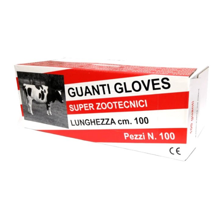 GANTS ZOOT. GANTS ÉLASTIQUES 100PCS