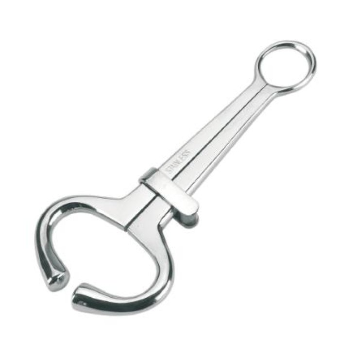 MORAGLIE EN ACIER INOXYDABLE 20CM