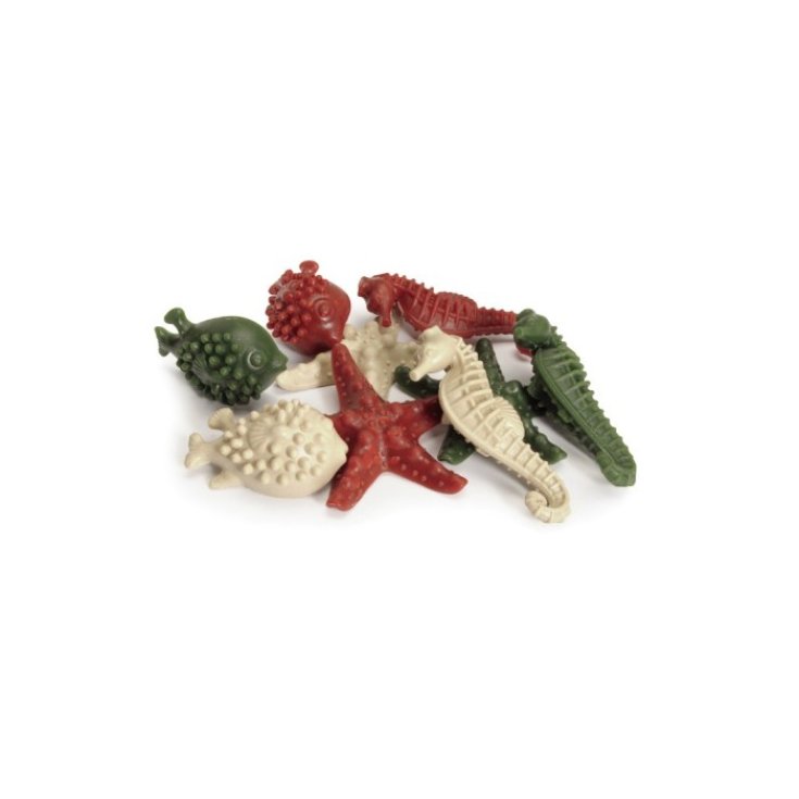 SEAVEG S ÉTOILE 7.5CM