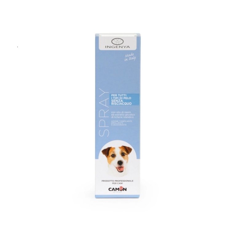 SHAMPOOING AUTO-RINÇANT 200ML