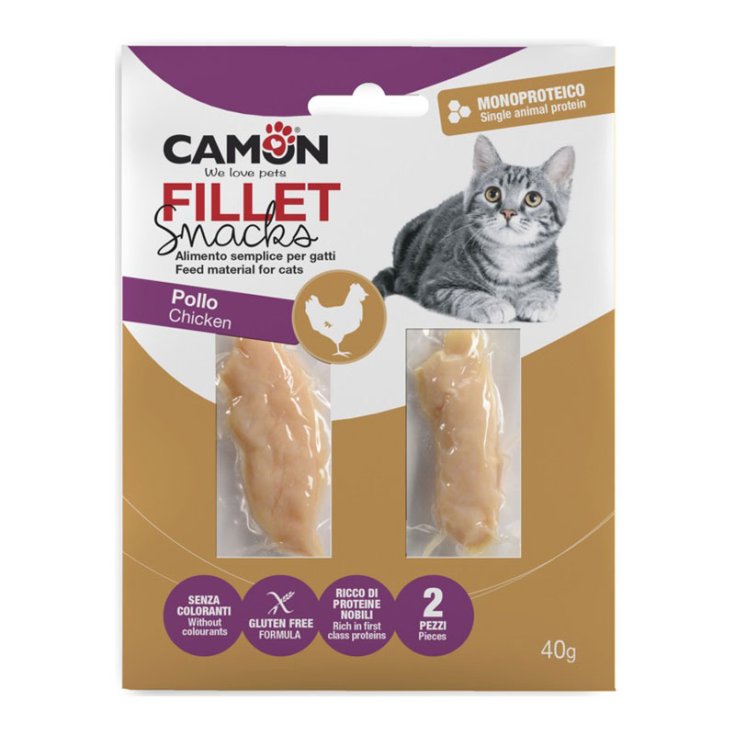 FILETS DE POULET 40G