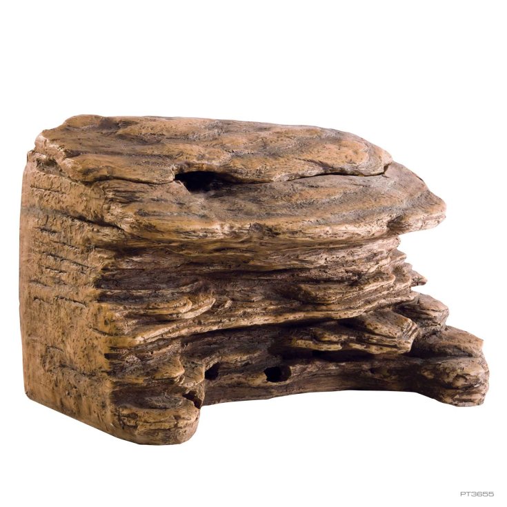 TORTUE CLIFT GRANDE PT-3655