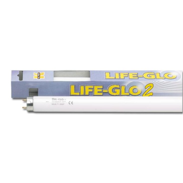 LAMPE LIFE-GLO II 40W