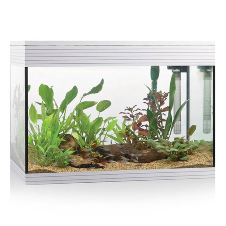 KIT AQUARIUM PURE L LED BLANC KIT AQUARIUM PURE L LED BLANC
