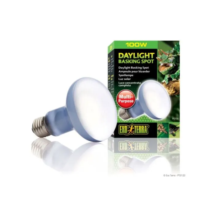 LAMPE R25/100W SOLEIL-GLO PT2133