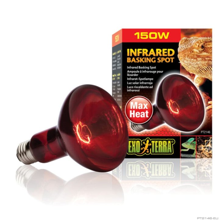 LAMPE R30/150W INFRAROUGE PT2146