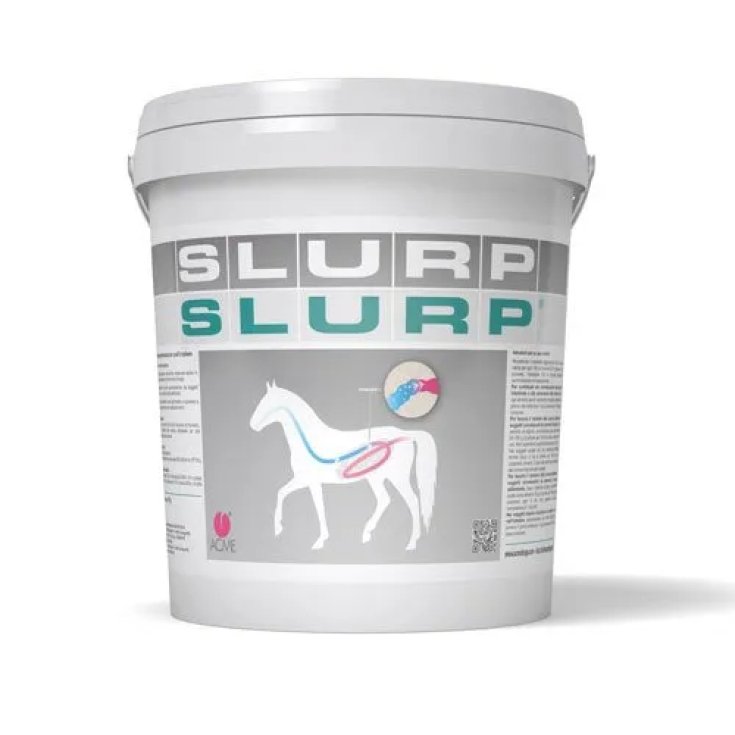 POUDRE SLURP 10 KG