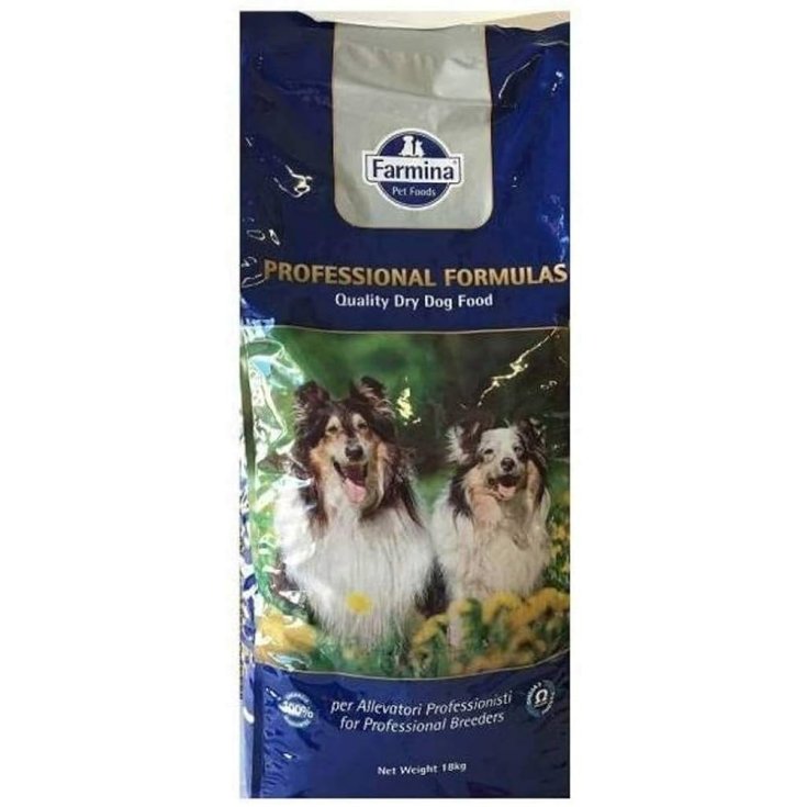 TEAM 4 CHIEN EKO ENERGIE 20 KG