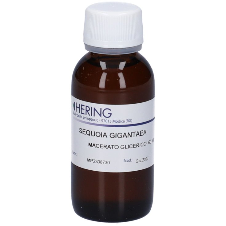 SÉQUOIA GIG BOURDS 60ML MG