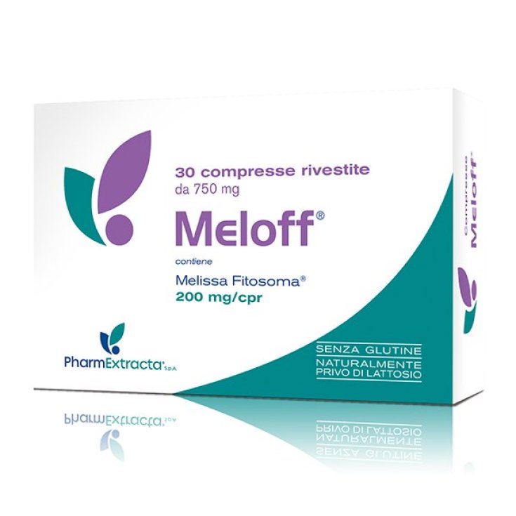 MELOFF 30RCP