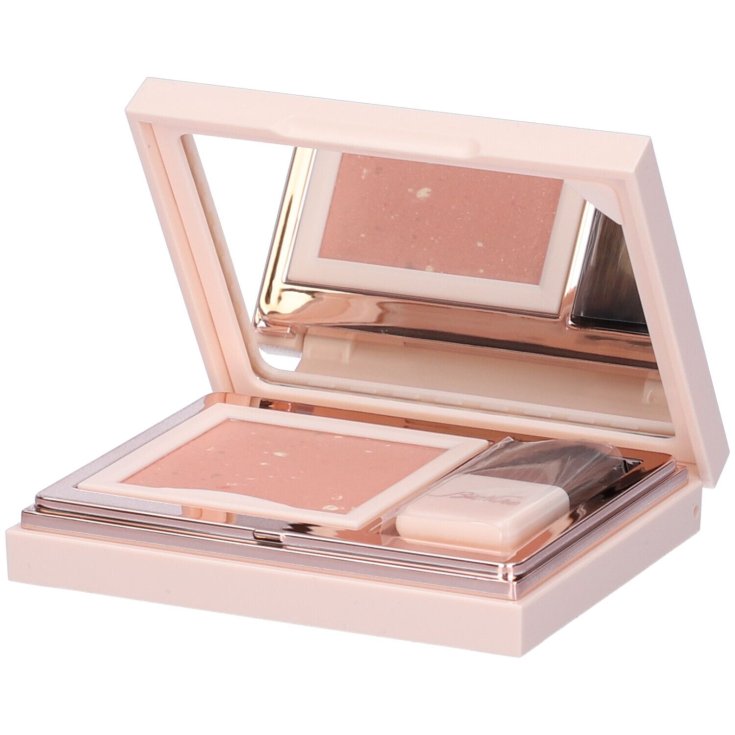 DEFENSE COULEUR PRETTY BLUSHER 309