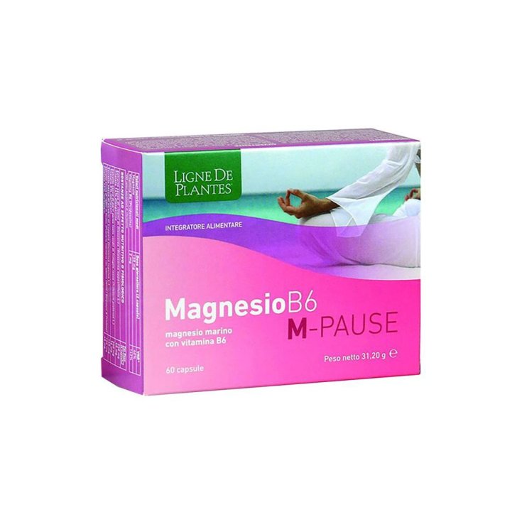 MAGNÉSIUM B6 M-PAUSE 60CPS