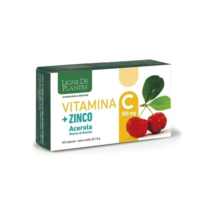 VITAMINE C 500MG+ZI/AC/BA60CPS