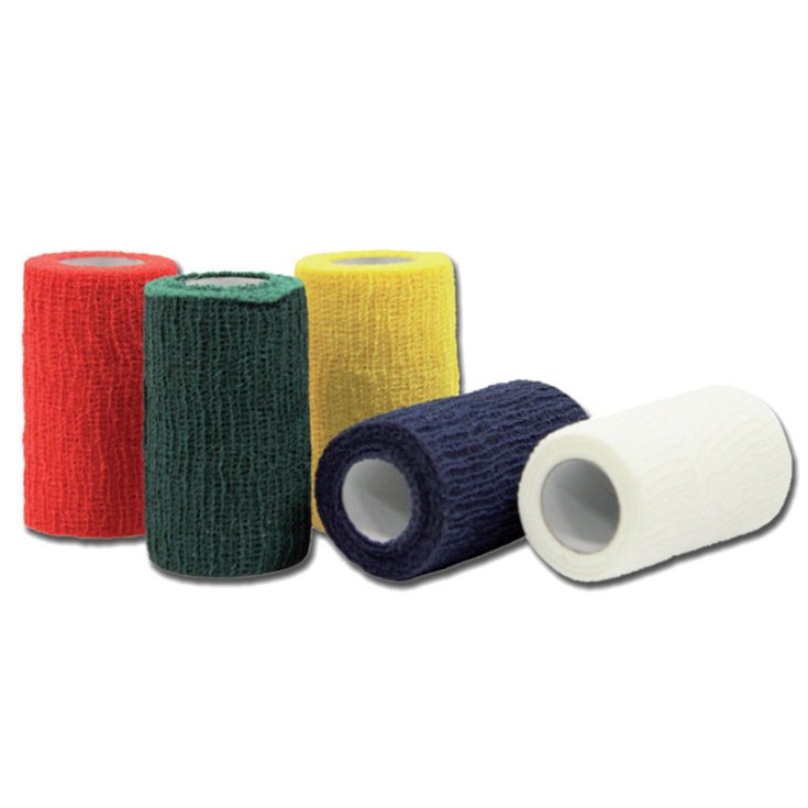 BANDE ÉLASTIQUE COES 4MX10CM BL