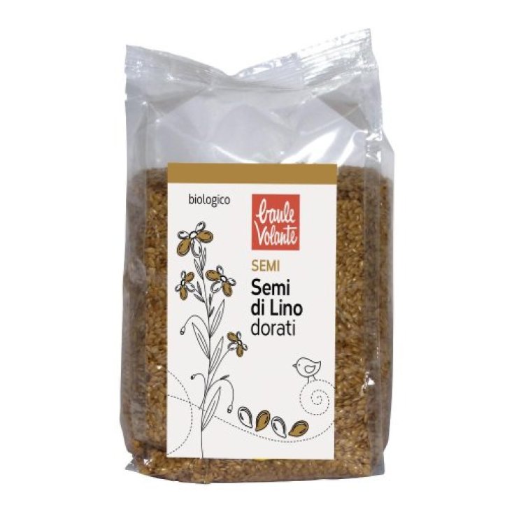 GRAINES DE LIN DORÉES 500G