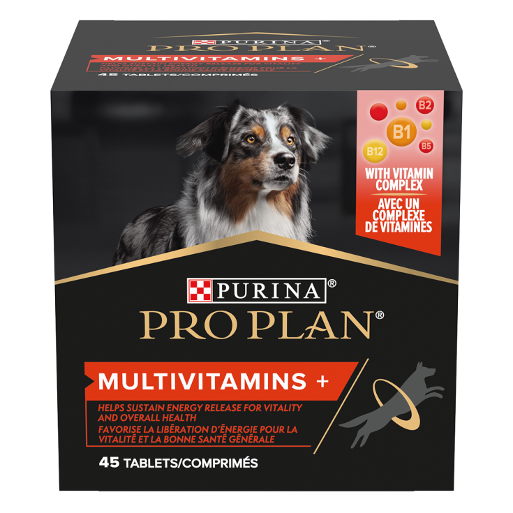 SUPPLÉMENT PP POUR CHIEN MULTIV 4X67G