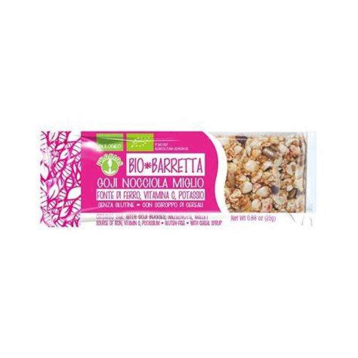 Barre Bio Goji Noisette Millet PROBIOS 25g