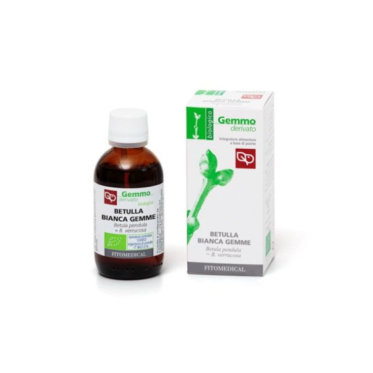 GEMME DE BOULEAU BLANC MG 50ML BIO