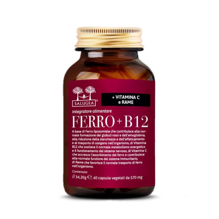 FER+B12 SALUGEA 60CPS