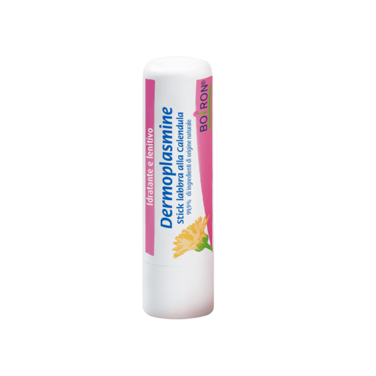 STICK À LÈVRES DERMOPLASMINE 2PCS