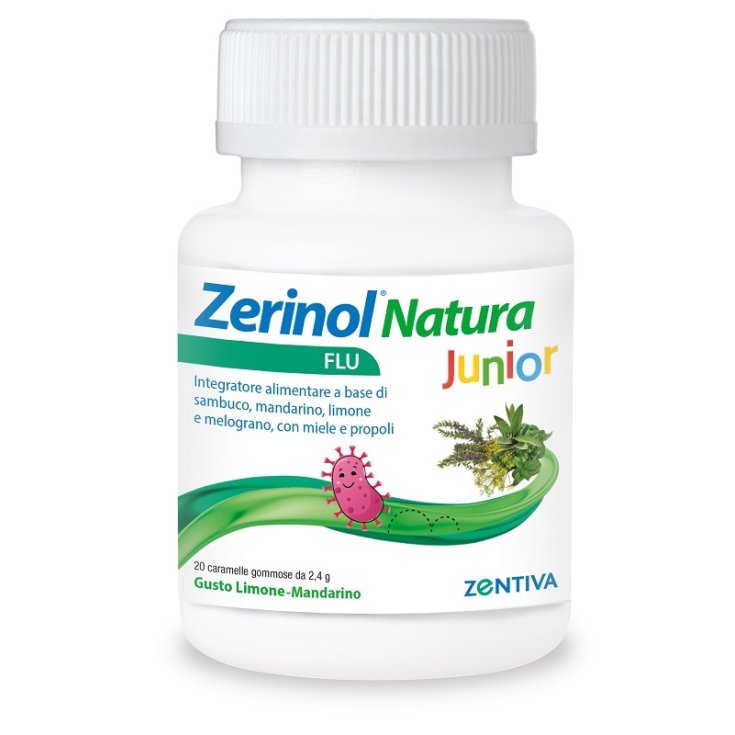 ZERINOL NATURA GRIPPE J 20CARAM