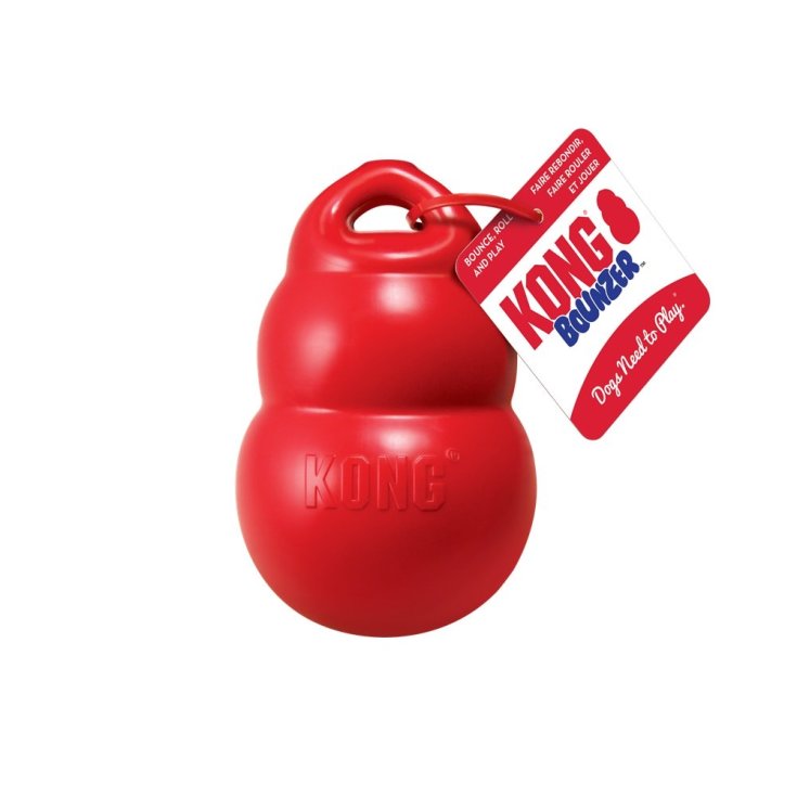 KONG BOUNZER MOYEN