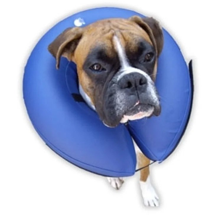 Collier gonflable Procollar bleu - ø int