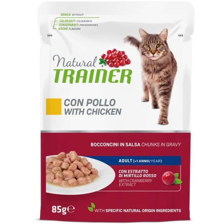 ENTRAÎNEUR NAT CAT AD AVEC POUSSIN BS