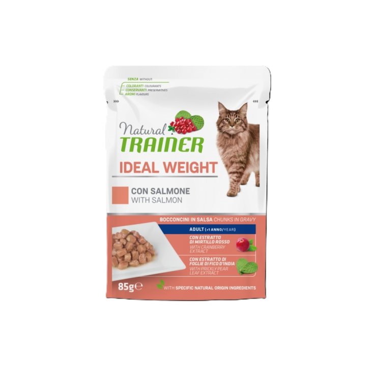 ENTRE NUMÉRO DE CHAT BS IW SALM 85G