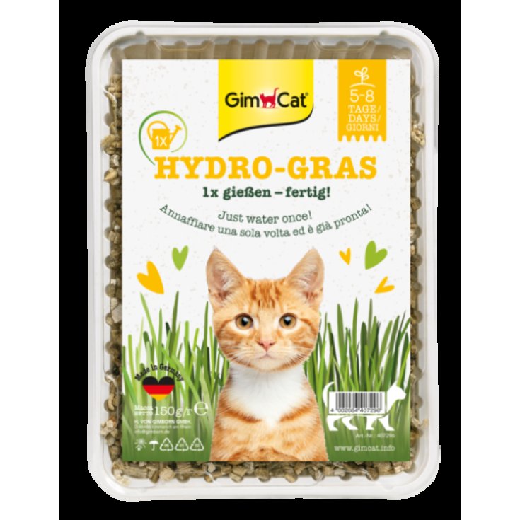 GIMCAT CATNIP SONDAGE HYDR