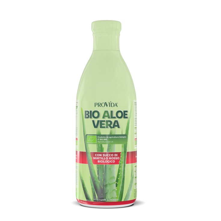 PROVIDA BIO ALOÈS BLEUET 1L