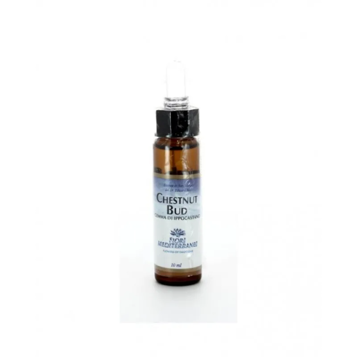 FLEURS DE BOURDON DE CHÂTAIGNIER MEDITER GTT