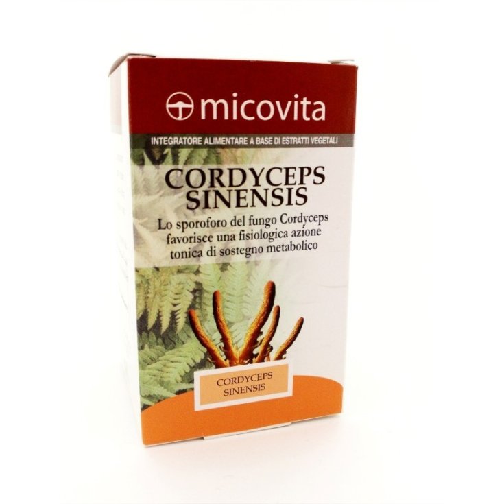 CORDYCEPS FUNGO MICOVITA 60CPS