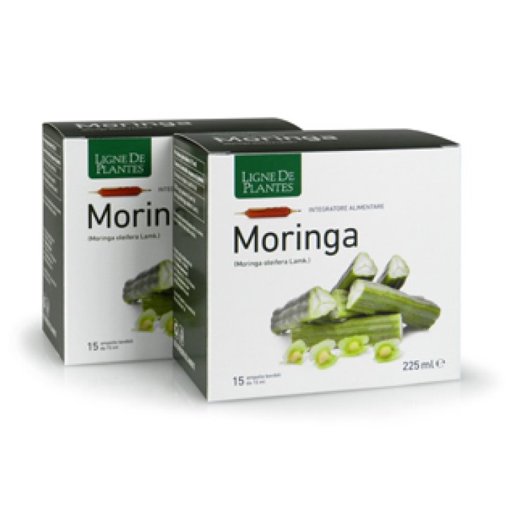 MORINGA 15AMPOLLE