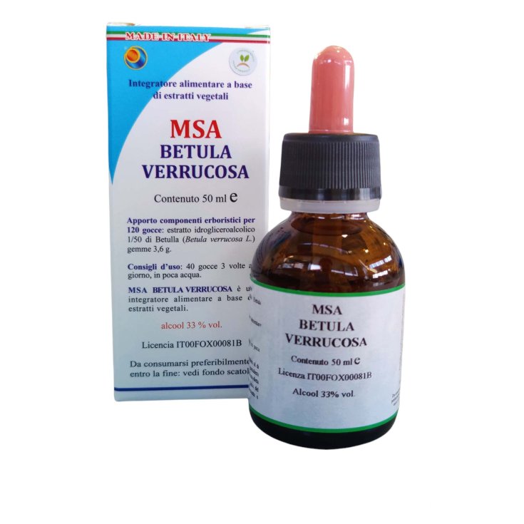 MSA BETULA VERRUCOSA 50ML