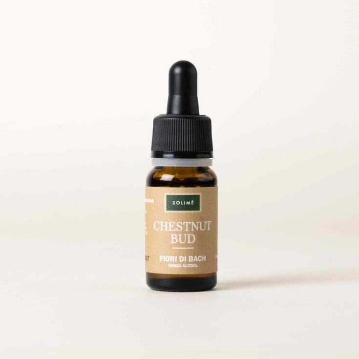 CHESTNUT BUD 10ML