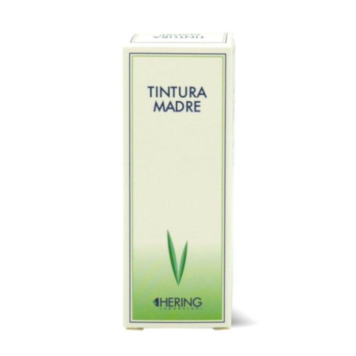 ECHINACEA ANGUST 30ML TM