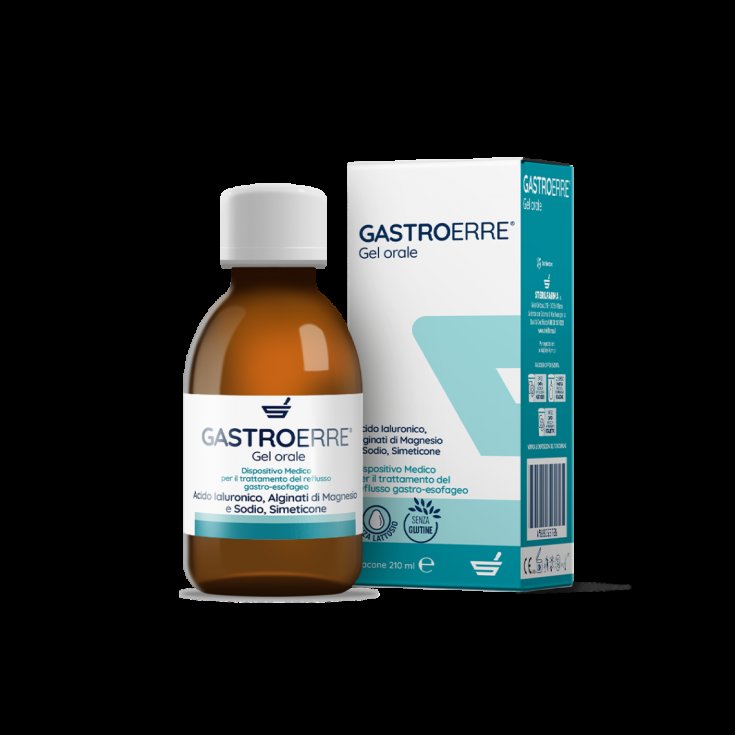 GASTROERRE 210ML