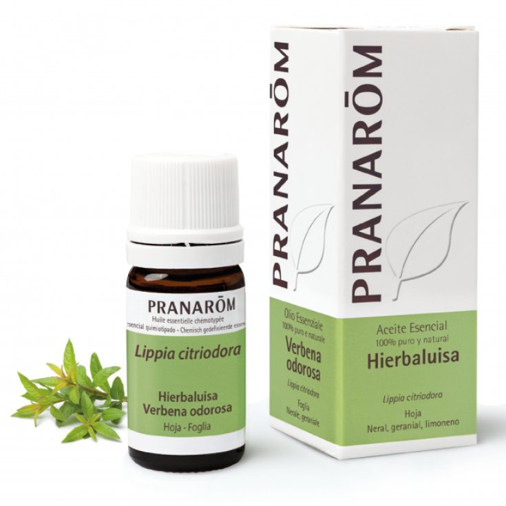 PRANAROM OE VERBENA ODOR 5ML