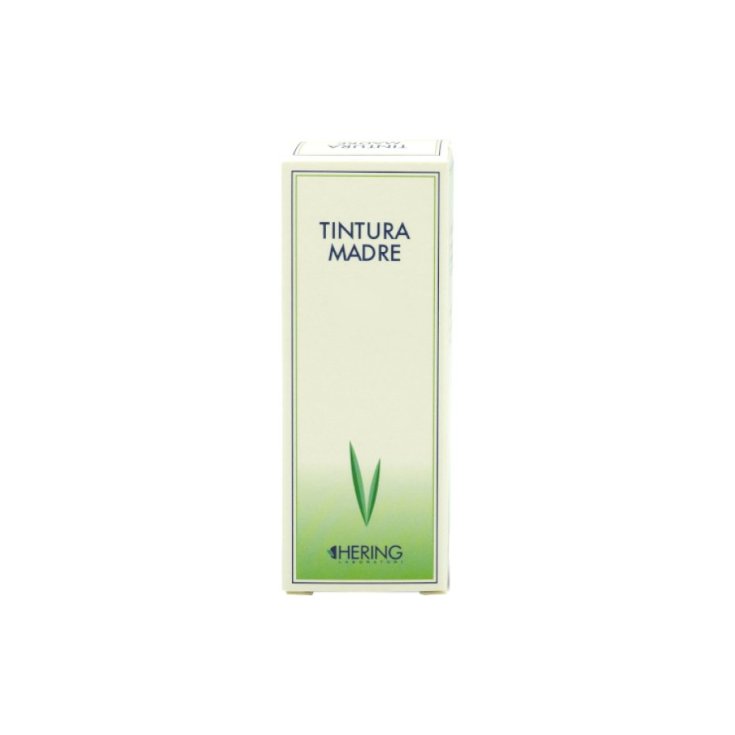 ARNICA MONTANA 60ML TM