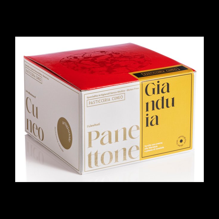 PANETTONE FARCITO GIANDUIA600G