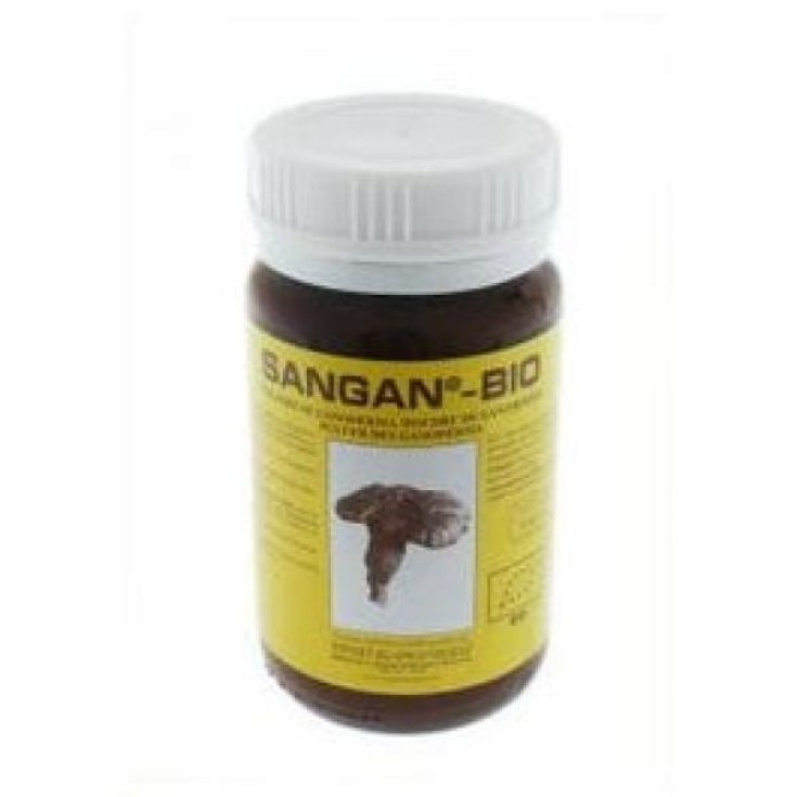 SANGAN POLVERE GANODERMA 45G