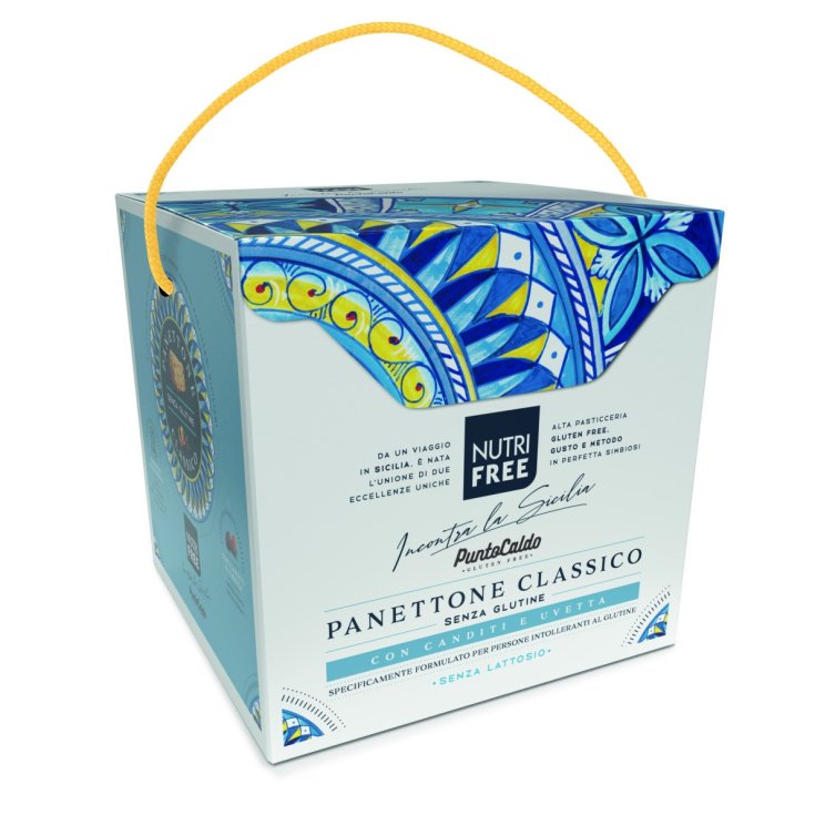 NUTRIFREE PANETTONE UVE/CA450G