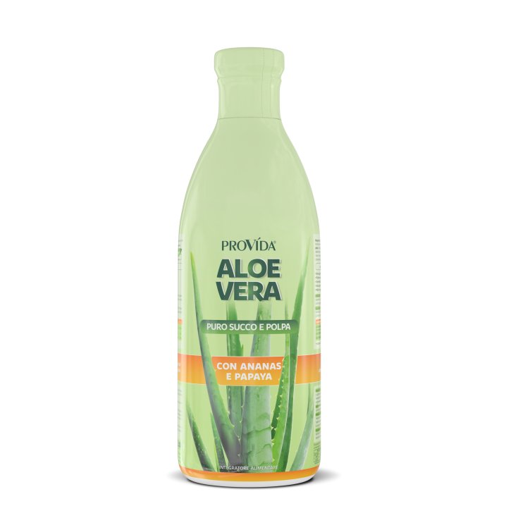 PROVIDA ALOE ANANAS PAPAYA 1L