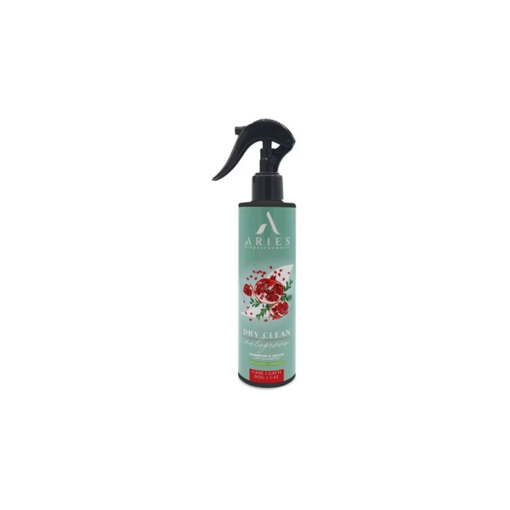 DRY CLEAN MELOGRANO 250ML